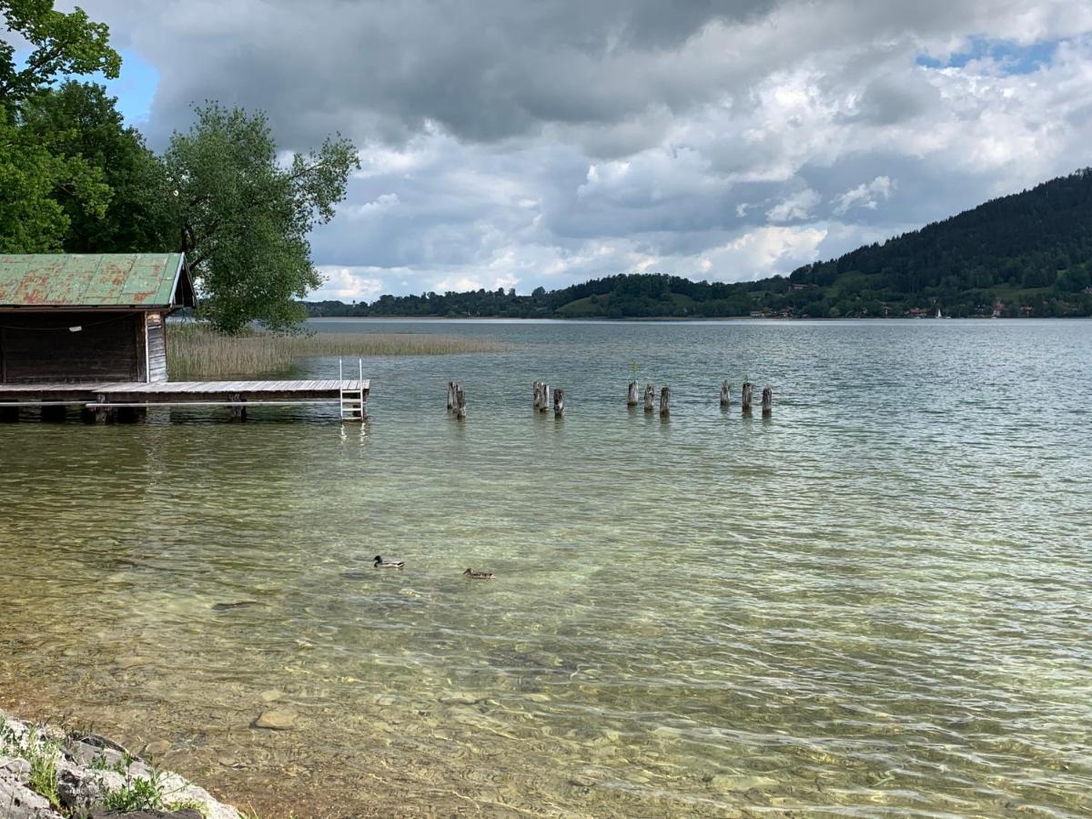 Ape Maja Bad Wiessee